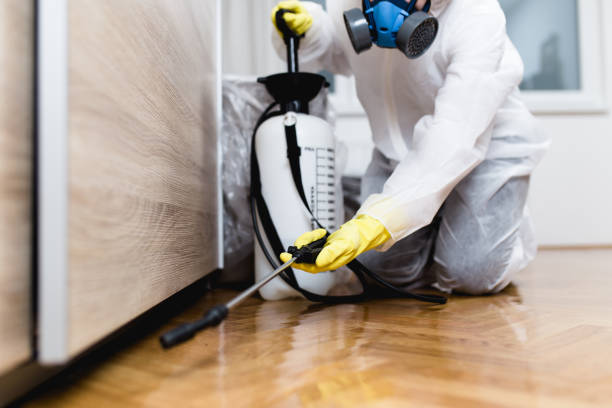 Best Cockroach Control Services  in Menands, NY