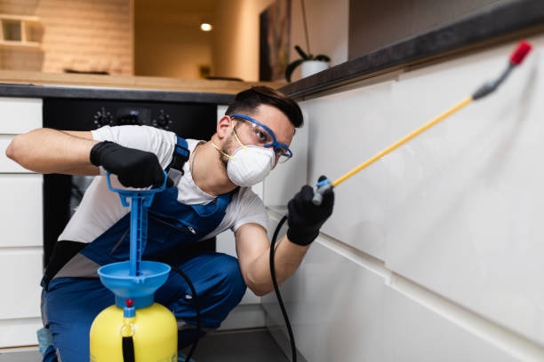 Best Affordable Pest Control Services  in Menands, NY