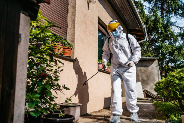 Best Wasp Removal Services  in Menands, NY