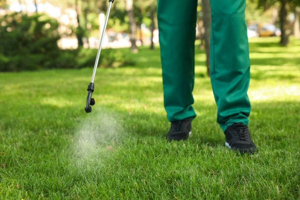 Best Local Pest Control Services  in Menands, NY