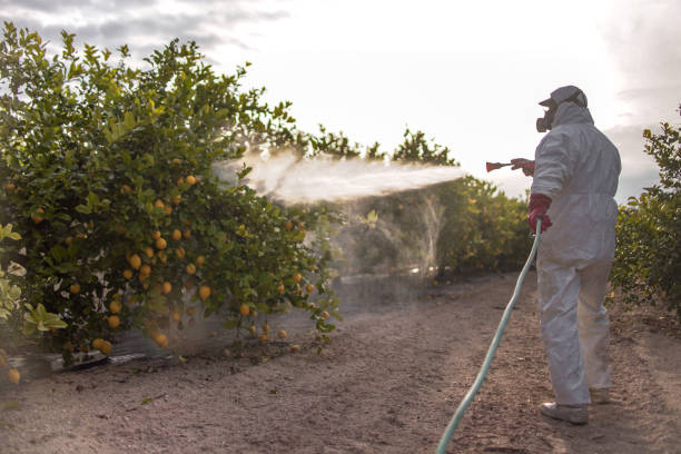 Best Pest Removal Services  in Menands, NY