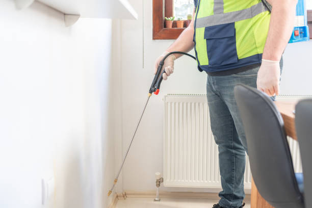 Best Ant Control Services  in Menands, NY