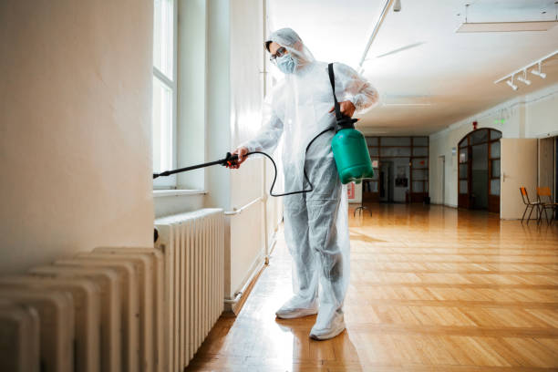 Best Affordable Pest Control Services  in Menands, NY